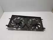 Kühlmodul Renault Laguna III (T) 214810046R