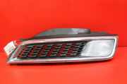 Lüftungsgitter für Stoßfänger Nissan Micra III (K12) NSR2381001