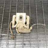 Bremssupport hinten links TOYOTA RAV 4 V (XA50) AWD Hybrid LE+ 2.5 N/A