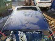 Dach MASERATI QUATTROPORTE V 4.7 S