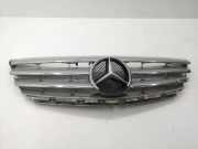 Vorderer oberer Gitter MERCEDES-BENZ B (W245) B 180 CDI (245.207) A1698800783