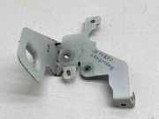 Kotflügelhalter vorne rechts RENAULT MEGANE III Hatchback (BZ0_) 1.5 dCi (BZ09, BZ0D) 289267516R