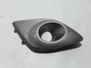 Gitter Grill vorne rechts RENAULT SCÉNIC III (JZ0/1_) 1.5 dCi 261520001R