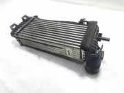 Ladeluftkühler FORD KUGA II (DM2) 1.5 TDCi BV61-9L440-CK