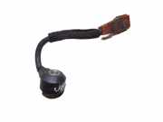 Klopfsensor AUDI A6 (4F2, C6) S6 quattro