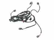 SONSTIGE KABELBÄUME MERCEDES-BENZ R (W251, V251) R 350 4-matic (251.065, 251.165) 466303009