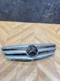 Gitter Grill vorne links MERCEDES-BENZ B (W245) B 180 CDI (245.207) A1698800883