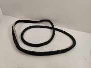 Türgummi links vorne Renault Espace V (JR)