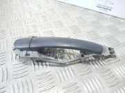 Türaußengriff hinten links