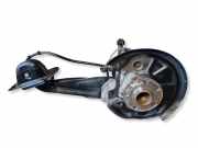 Fahrgestellteile hinten VW TIGUAN (AD1) 2.0 TSI 4motion 5QN505435A