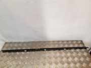 Türverkleidung links hinten Nissan Primera (P12)