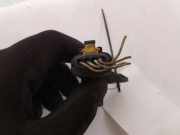 LUFTDRUCKSENSOR ALFA ROMEO 147 (937_) 1.9 JTD (937.AXD1A, 937.BXD1A) 0281002437