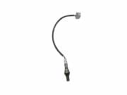 Sauerstoffsensor (Lambdasensor)