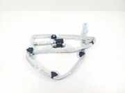 SRS Modul Dach links AUDI A6 Avant (4F5, C6) 3.0 TDI quattro 4F9880742A