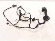 Türverkabelung hinten links PEUGEOT 407 Coupe (6C_) 2.0 HDi 9658192180