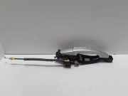 Türgriff links hinten Ford C-Max II (DXA)