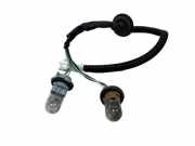 Xenon-Lampe TOYOTA RAV 4 IV (_A4_) 2.0 D (ALA40_)