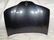 Motorhaube Renault Laguna II (G)