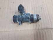 Düsenstöcke Citroen C5 I Break (DE) 280158041