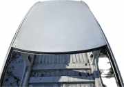Dach mit Sonnendachausschnitt Tesla Model S (5YJS) 356246456
