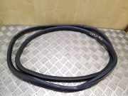 Türgummi rechts vorne Audi A6 Allroad (4G)