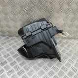 Luftfilterkasten NISSAN JUKE (F16) DIG-T 117 165003342R