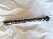 Auspuffkrümmer Peugeot 407 Coupe ()