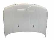 Motorhaube LAND ROVER RANGE ROVER SPORT (L320) 3.0 D 4x4