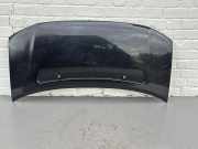 Motorhaube VW MULTIVAN V (7HM, 7HN, 7HF, 7EF, 7EM, 7EN) 2.5 TDI