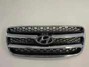 Vorderer oberer Gitter HYUNDAI SANTA FÉ II (CM) 2.2 CRDi GLS 4x4