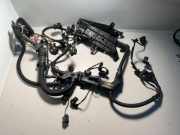 Motor Kabelbaum BMW 3 (F30, F80) 325 d 756065404