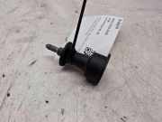 Lampenverkleidung hinten links AUDI A4 Avant (8ED, B7) 3.0 TDI quattro 8E0945246