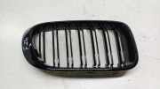 Gitter Grill vorne links BMW X4 (F26) xDrive 30 d