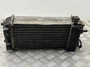 Ladeluftkühler Ford C-Max II (DXA) T7052003