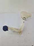 Behälter Scheibenwaschanlage Peugeot 208 I (CA, CC) 968398868000
