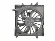 Elektrolüfter Jaguar XJ (X350, X358) 8240344