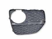 Gitter vorne unten BMW X6 (E71, E72) xDrive 30 d 7312606
