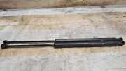 Heckklappe Gasdruckfeder links PEUGEOT 207 SW (WK_) 1.4 16V 9680316780