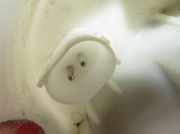 Kraftstofftankpumpe BMW 1 (E81) 116 d nėra kodo