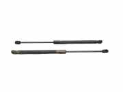 Heckklappe Gasdruckfeder links VW GOLF PLUS (5M1, 521) 1.6 MultiFuel 5M0827550A