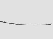 Stoßstangenierleiste hinten links JAGUAR S-TYPE (X200) 2.7 D 4R8317E991A