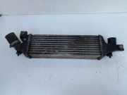Ladeluftkühler NISSAN PRIMERA (P12) 2.2 dCi 14461AW300