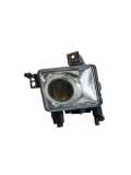 Nebelscheinwerfer links vorne Opel Signum (Z-C/S)