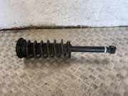 Stoßdämpfer hinten links TOYOTA MIRAI (JPD1_) FCV (JPD10_) 48530-62020