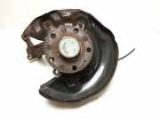 Radlagergehäuse rechts hinten VW Passat B7 Variant (365)