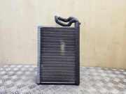 A/C Matrix Heater BMW X1 (E84) xDrive 25 d
