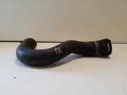 Schlauch Kühlung AUDI A6 Avant (4F5, C6) 3.0 TDI quattro