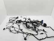 Innenkabelbaum (links) RENAULT CAPTUR (J5_) 1.2 TCe 120 241635414R