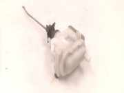 Stellelement für Zentralverriegelung VW Passat B3/B4 (3A2, 35I) 3A0862153B