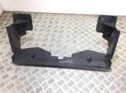 Anzeigetafel Rahmen RENAULT LAGUNA III (BT0/1) 2.0 dCi (BT08, BT0K, BT0J, BT14, BT1A, BT1D) 8200487871 8200487864